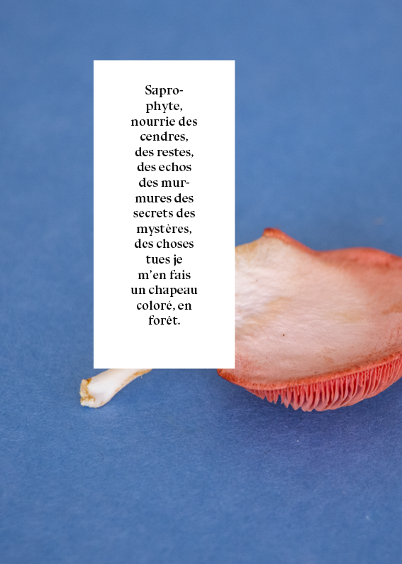 Histoire d'oreille7.png