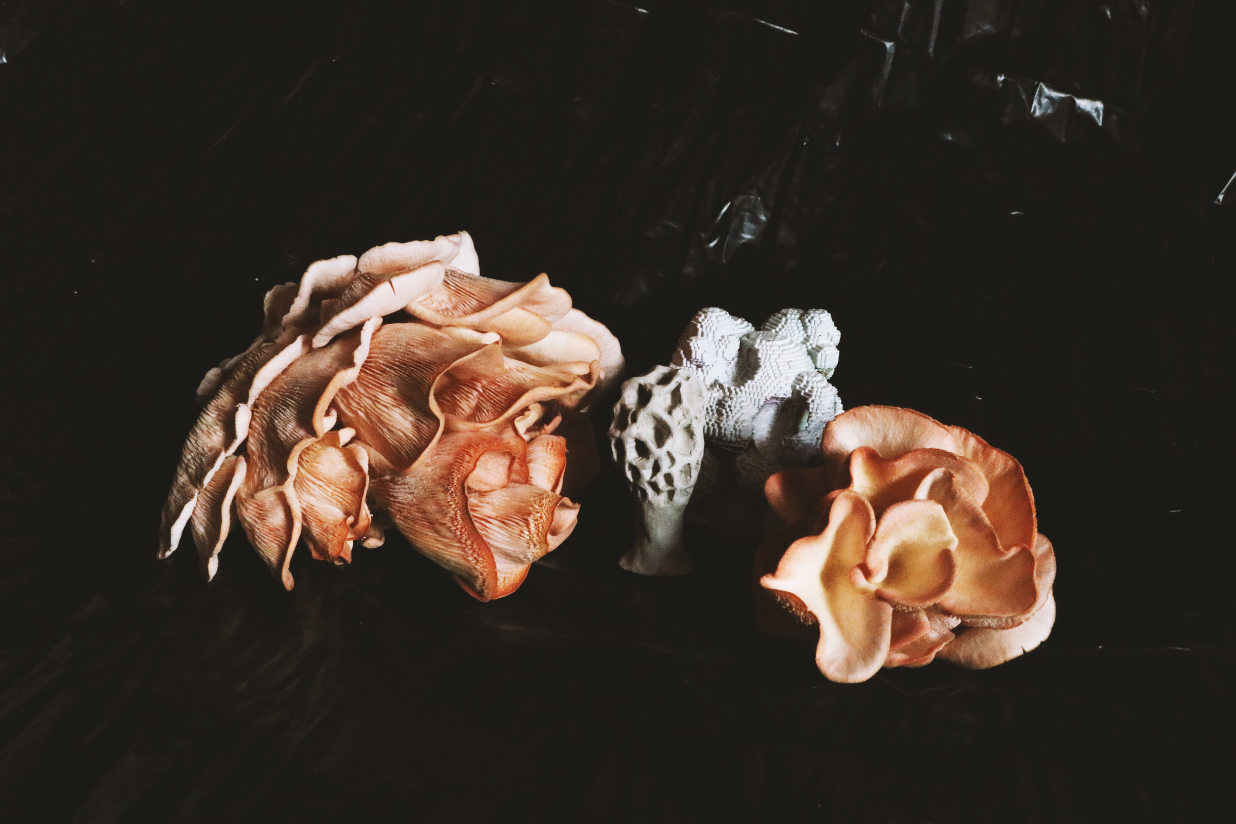 photo11.jpg