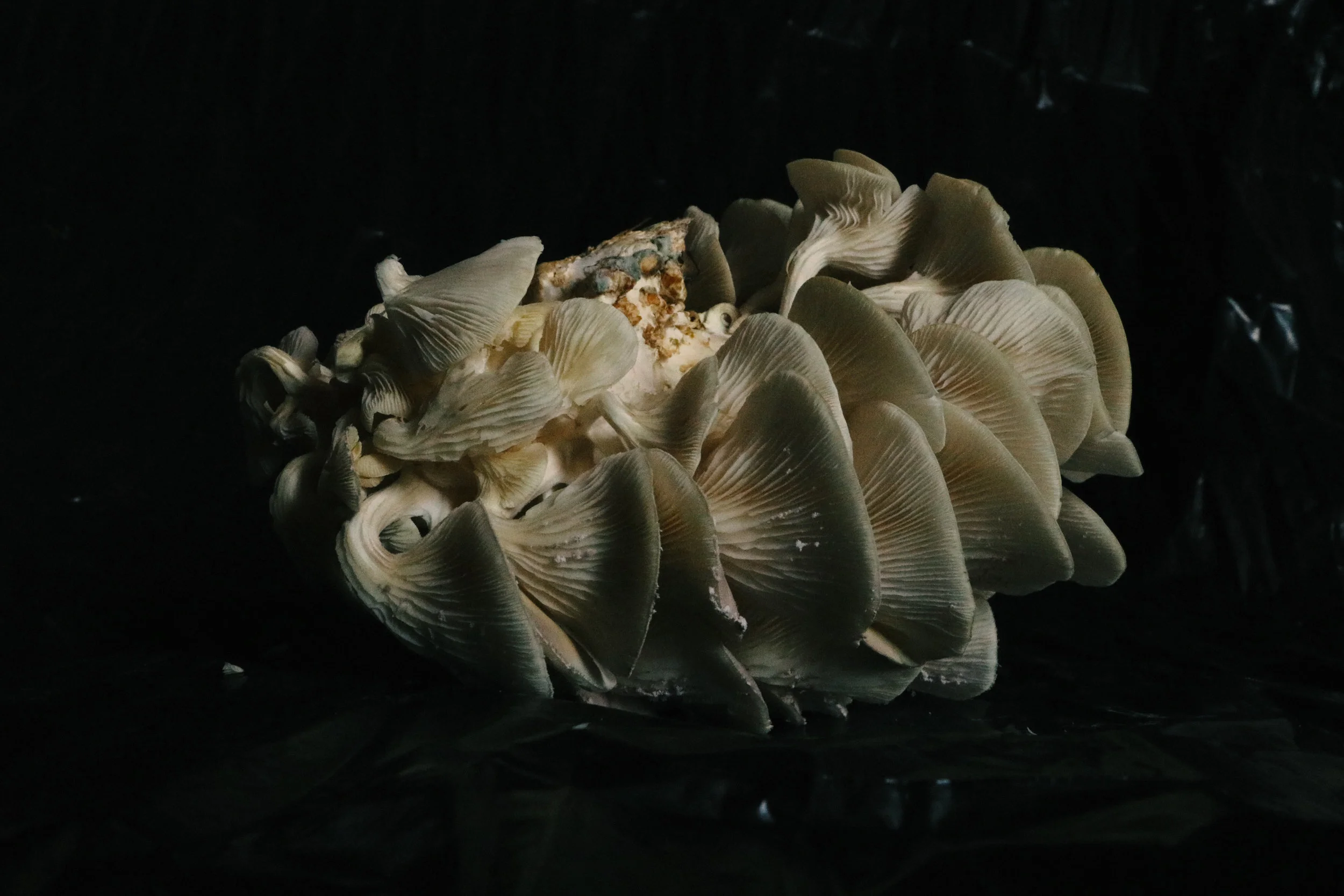 photo23.jpg