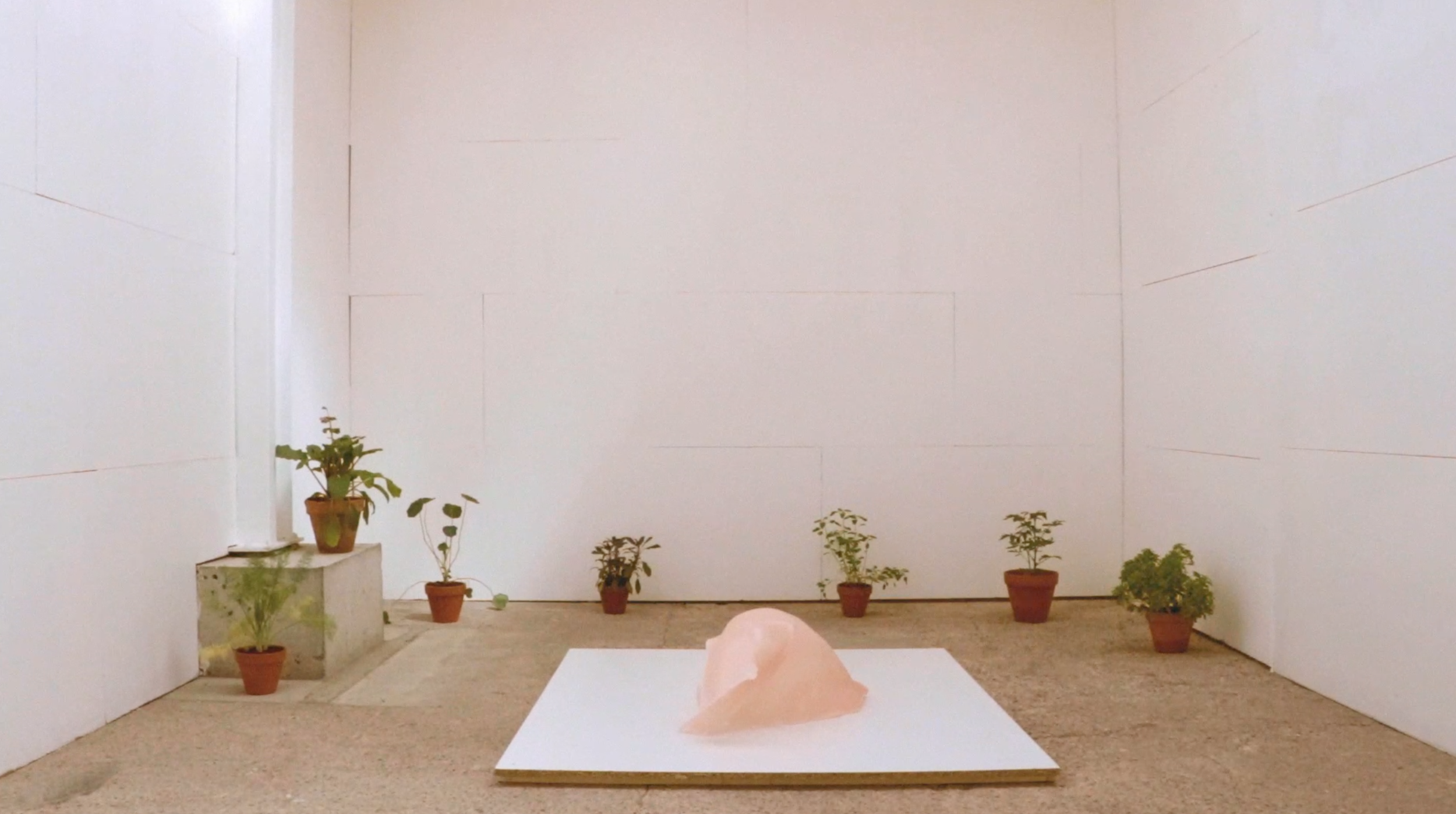 Capture d’écran 2021-04-23 à 17.35.00.png