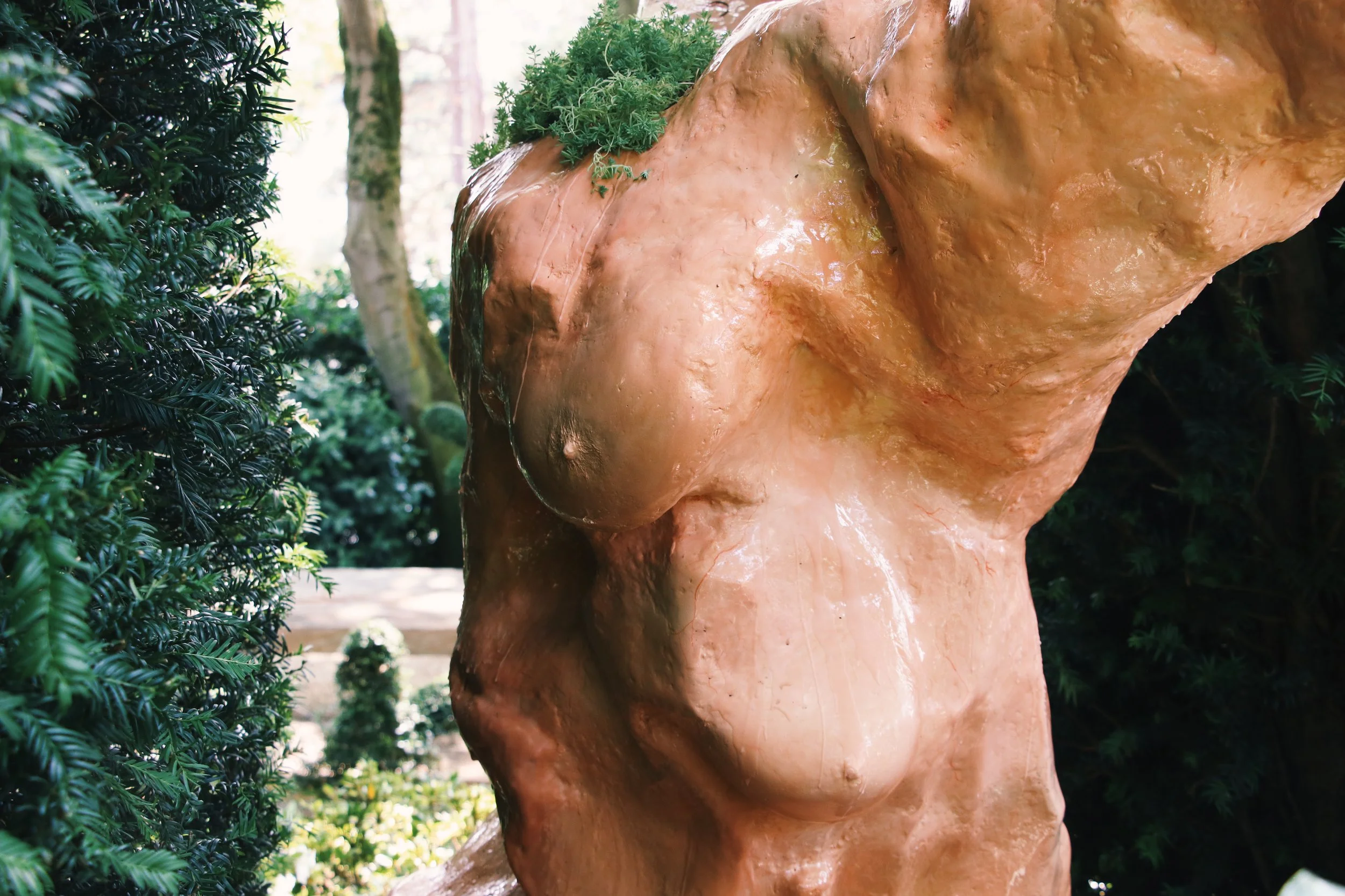 Là où l'if l'enlace