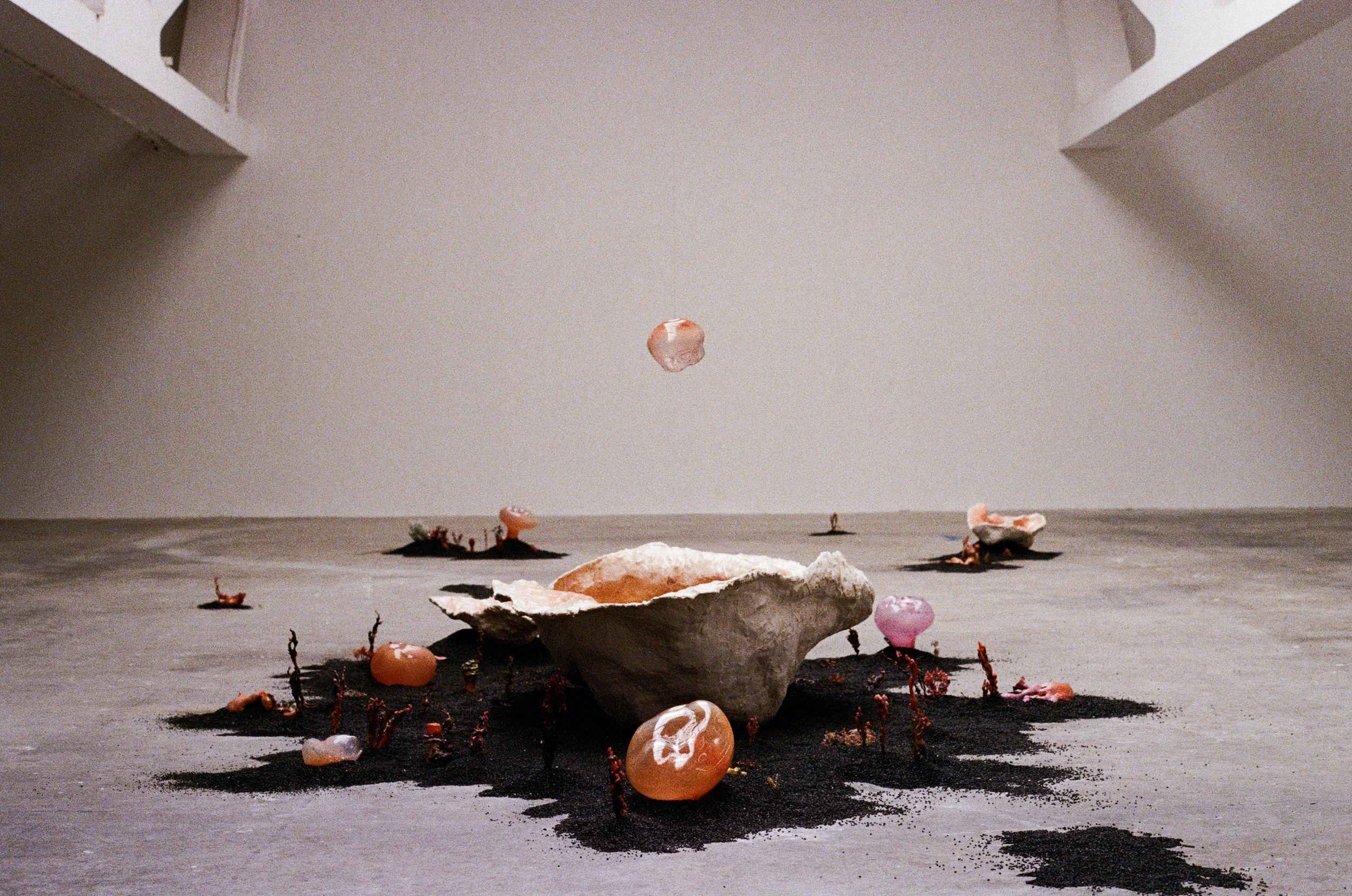   Entre Deux Eaux  imagines a world that exists after the rise of the waters, an ecosystem formed in the space between extinction and renewal. It is a place where the boundaries between species dissolve: mollusks meet fungi, slugs merge with algae, a