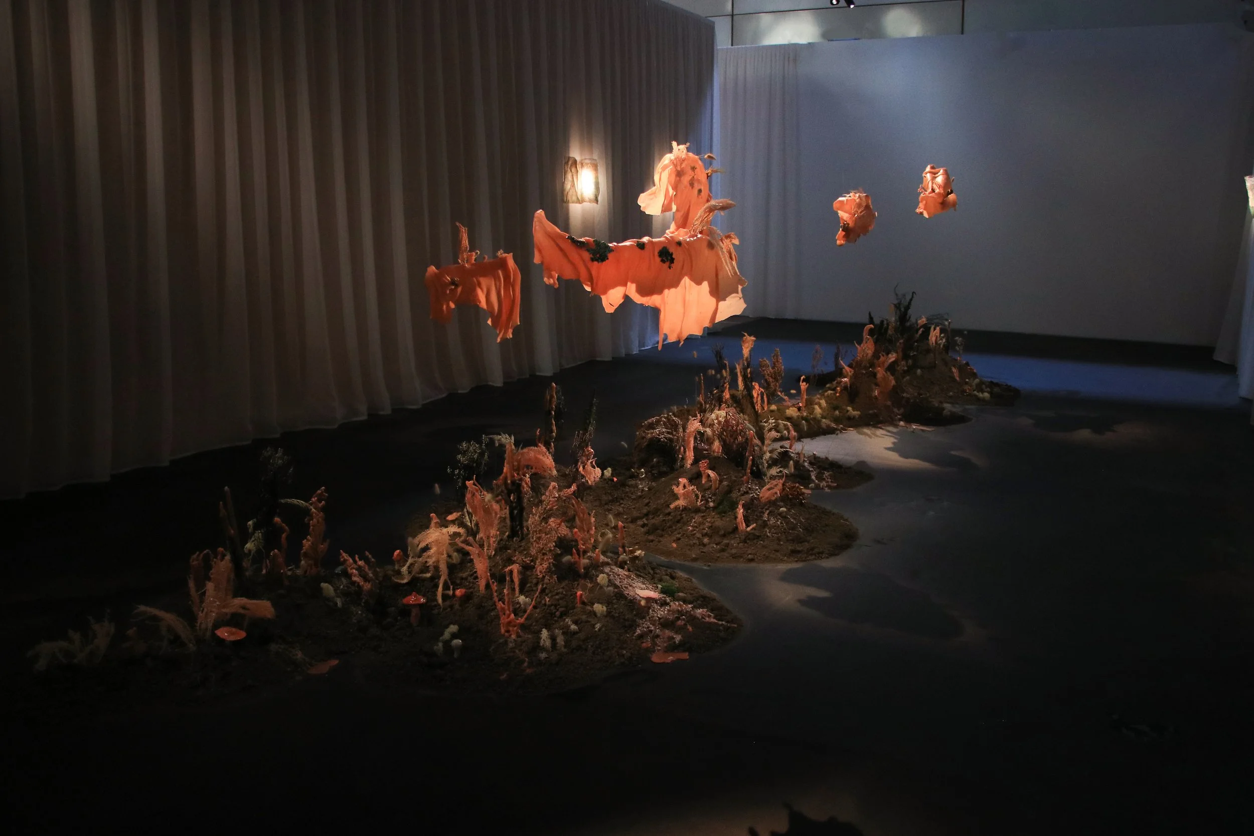 La pudeur des mycètes - Chapitre II