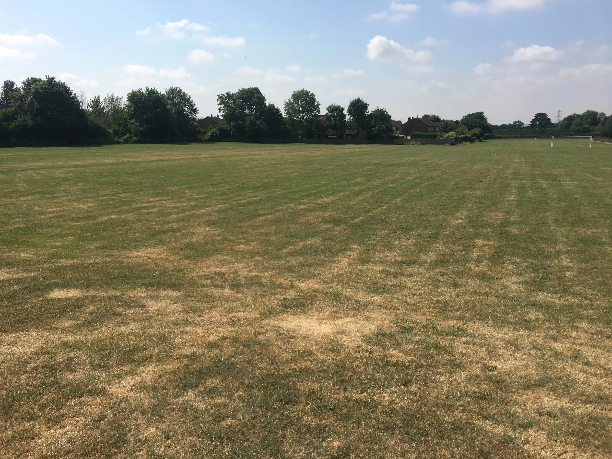 playing field 1.jpg