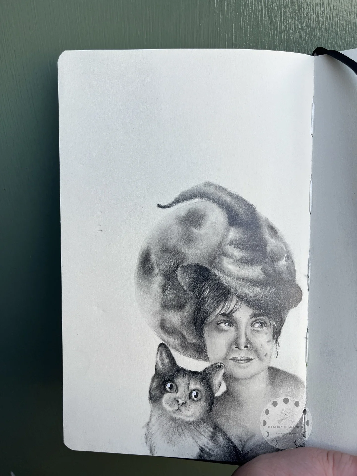 Close up of the drawing from my reel. Pretty damn happy with how it turned out!

#witch #cat #staedtlerlumograph #witchcraft #letpinterestdecide