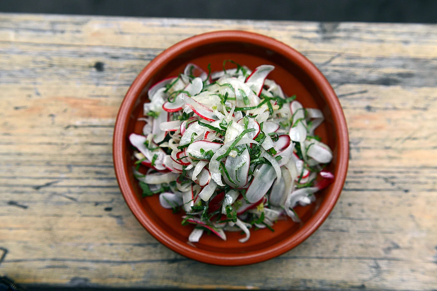 Sliced fennel and radish salad with basil, mint and rosemary vinaigrette.jpg