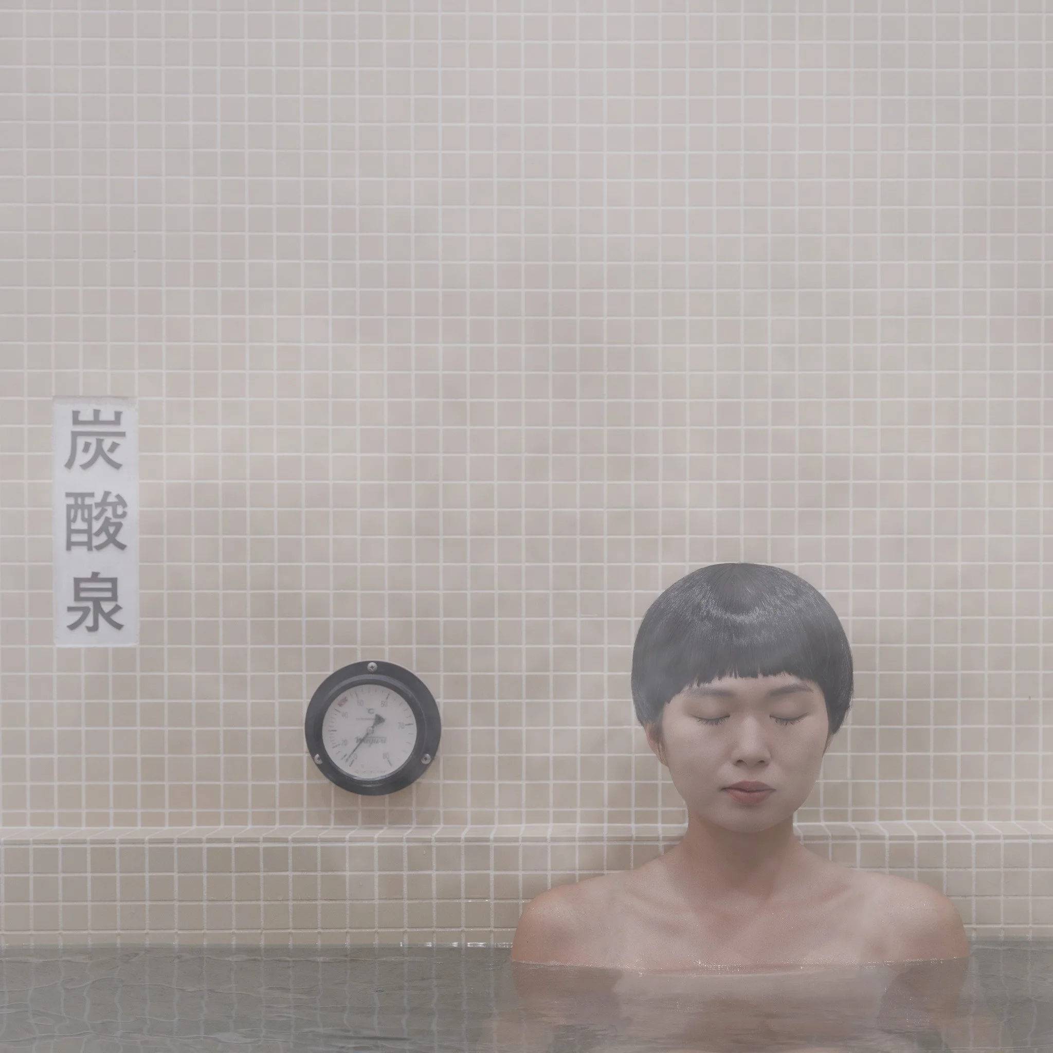 The Steam Baths 20x20cm.jpg