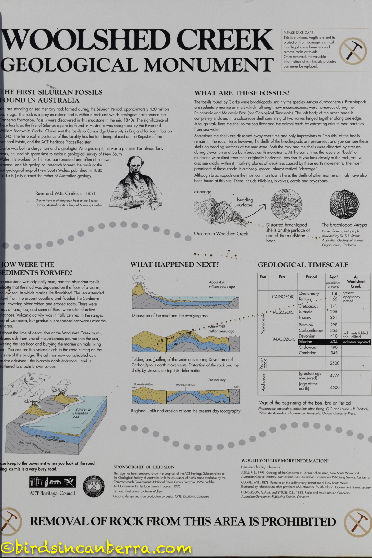 Prehistoric Canberra Woolshed Creek Fossil Site and the fossil