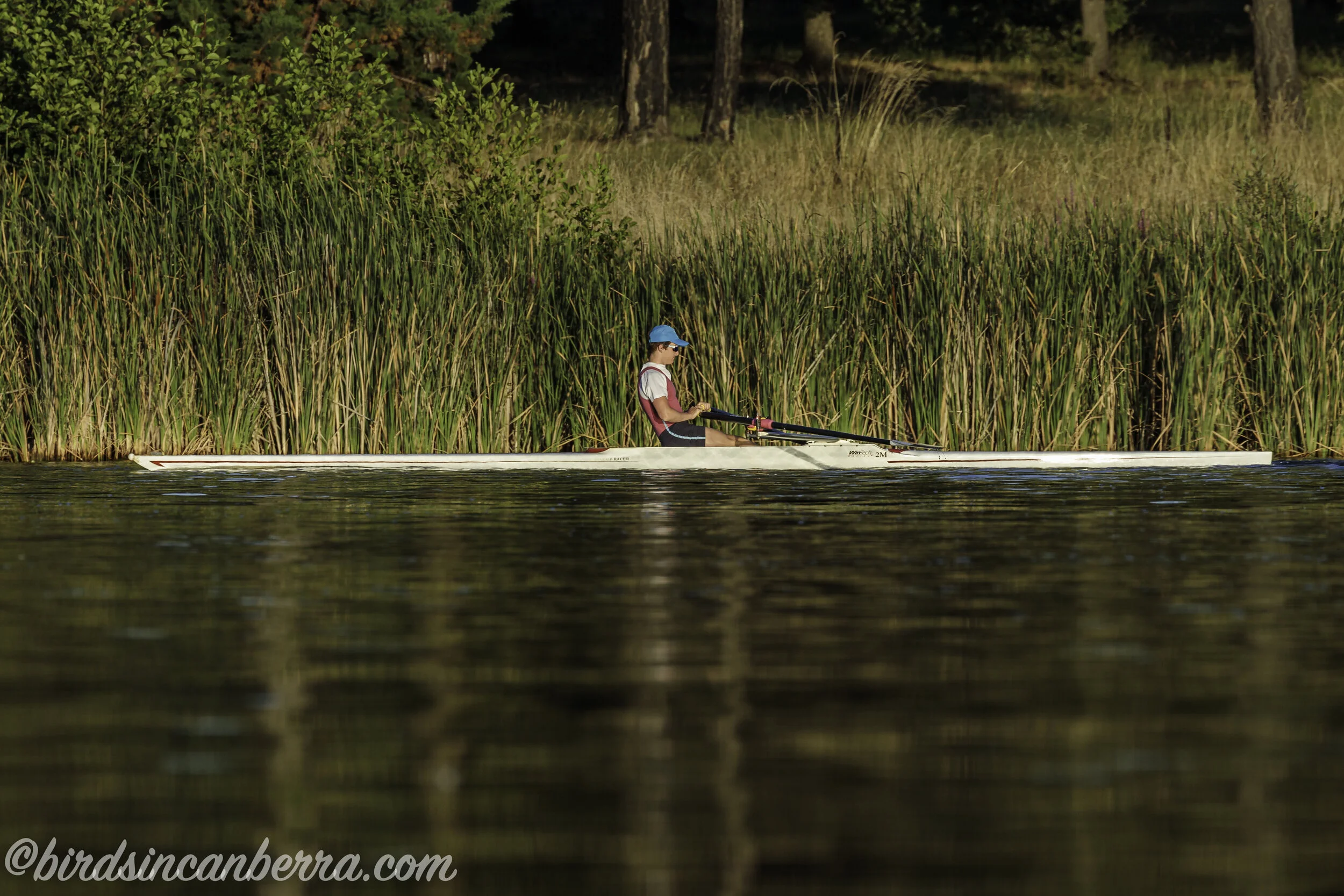 Photographing and paddling on Lake Burley Griffin over summer 202021