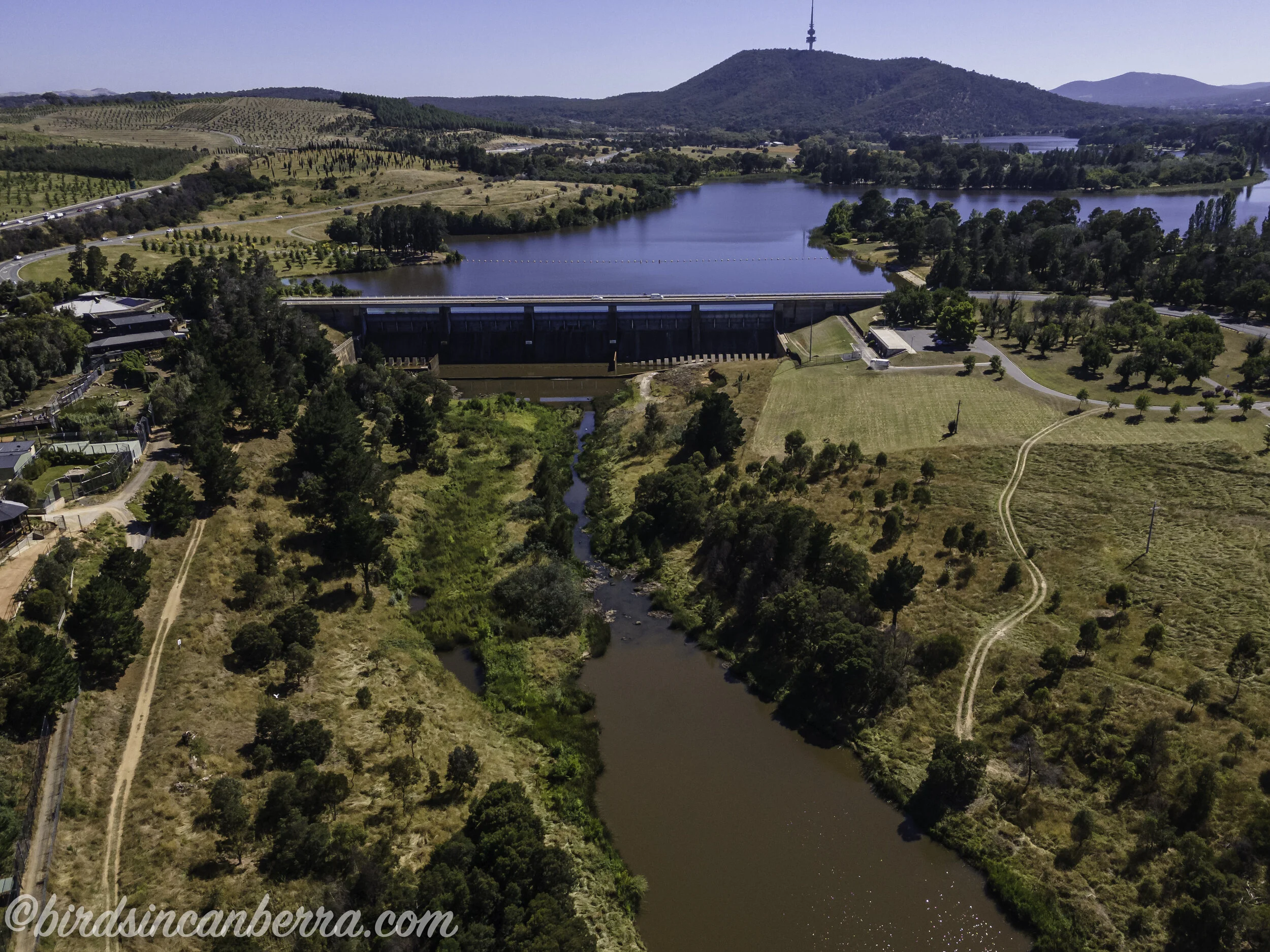 Photographing and paddling on Lake Burley Griffin over summer 202021
