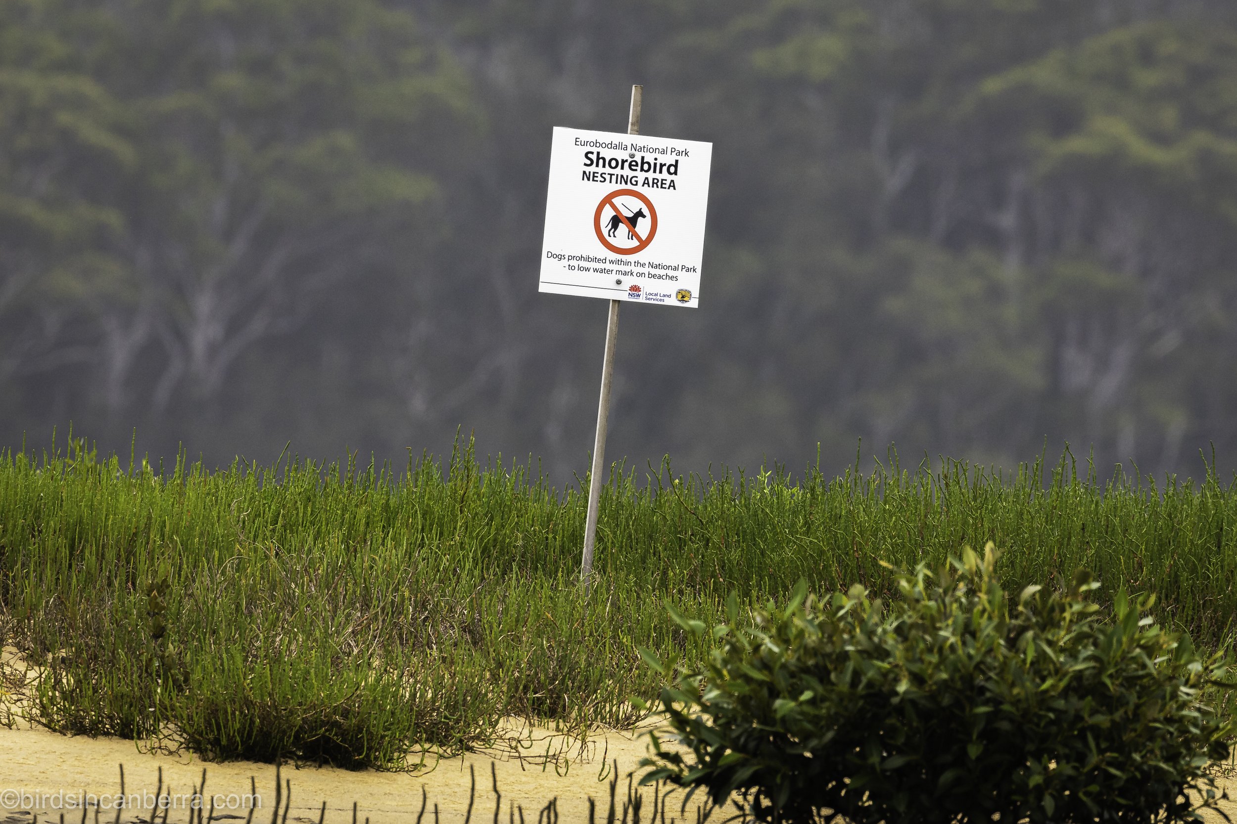 Conservation_signs_Tuross_Head_4268_20220111.jpg