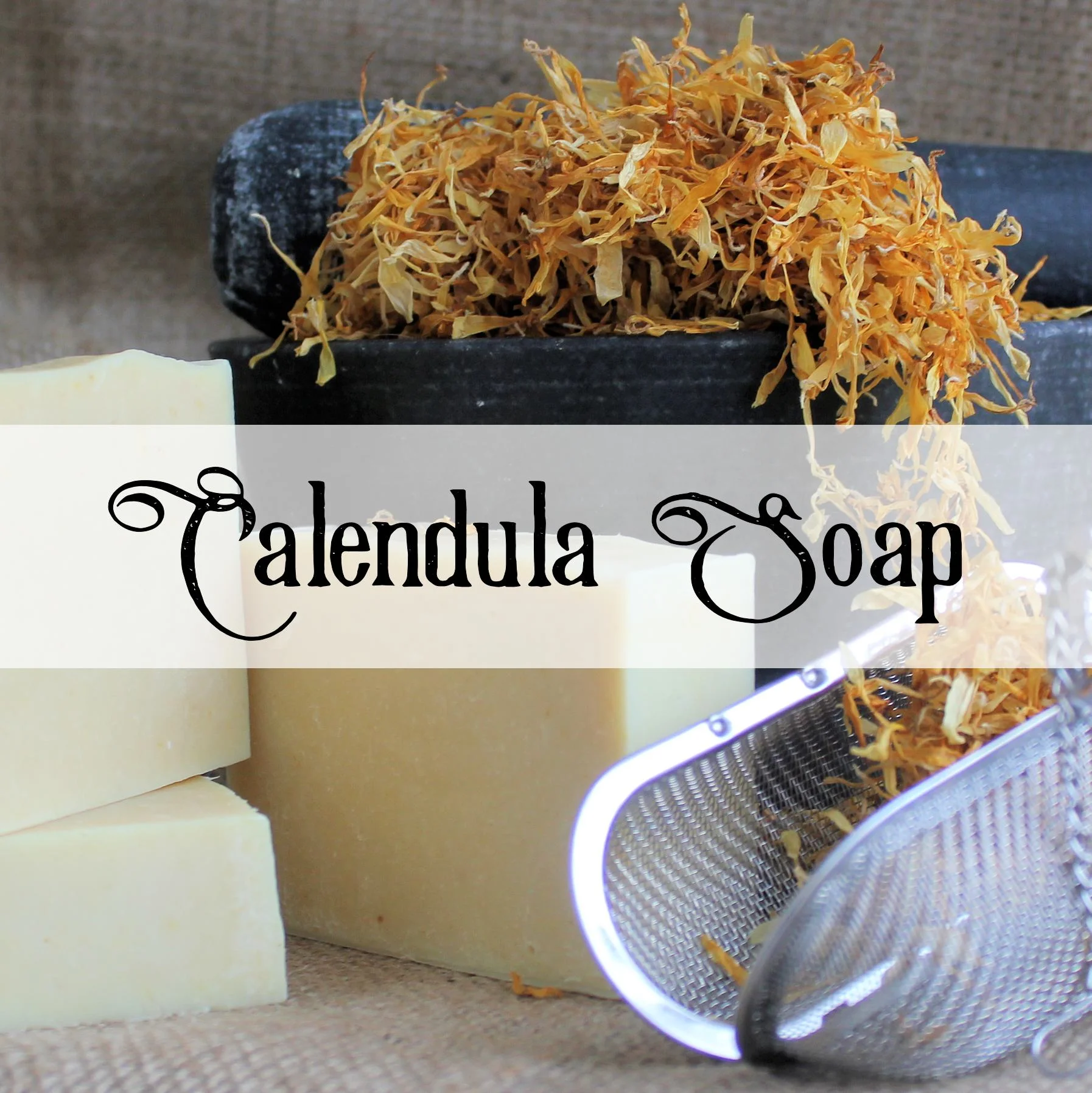 calendula-final.jpg