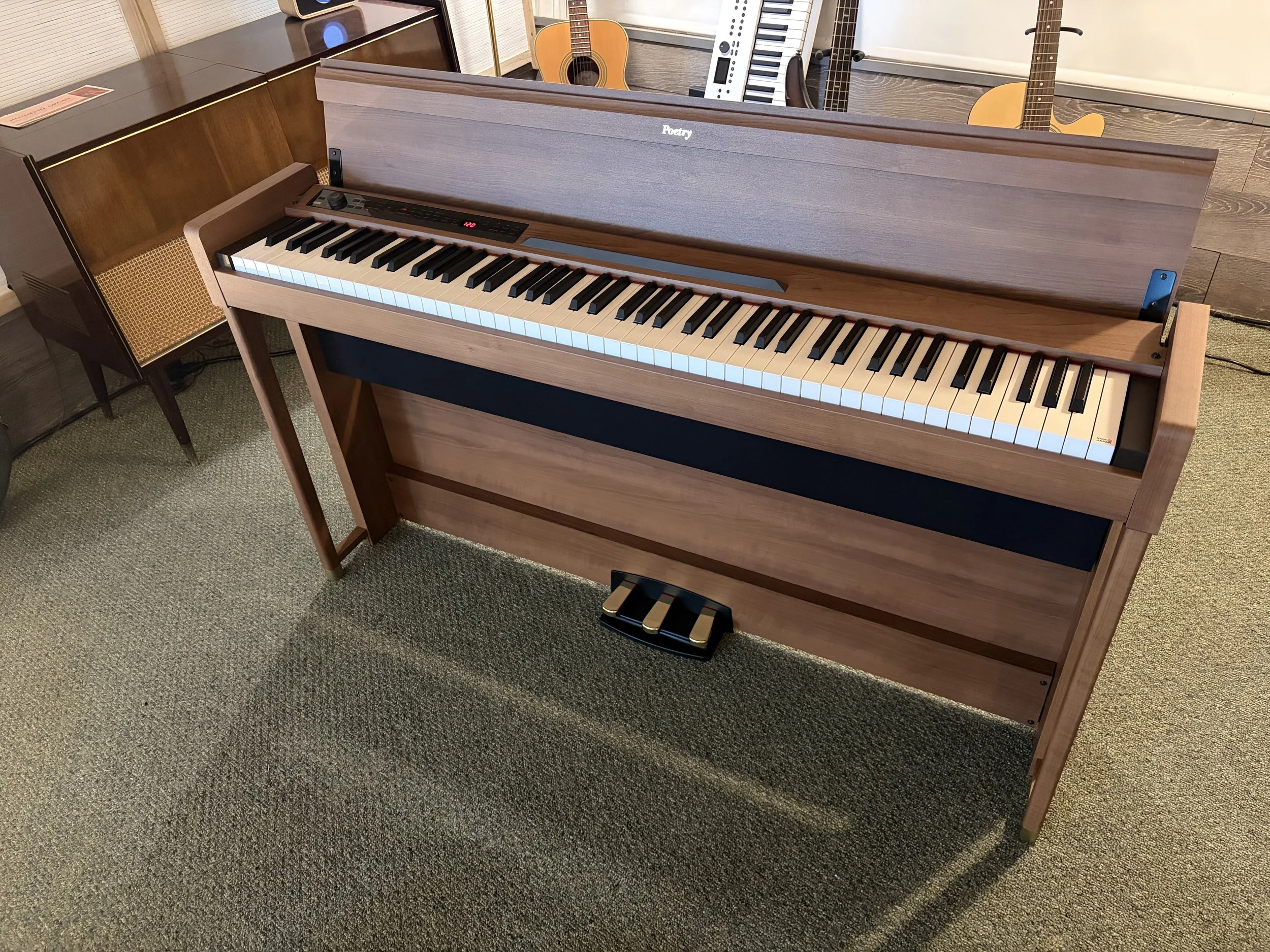 korg-poetry Chopin-digital-piano.jpeg