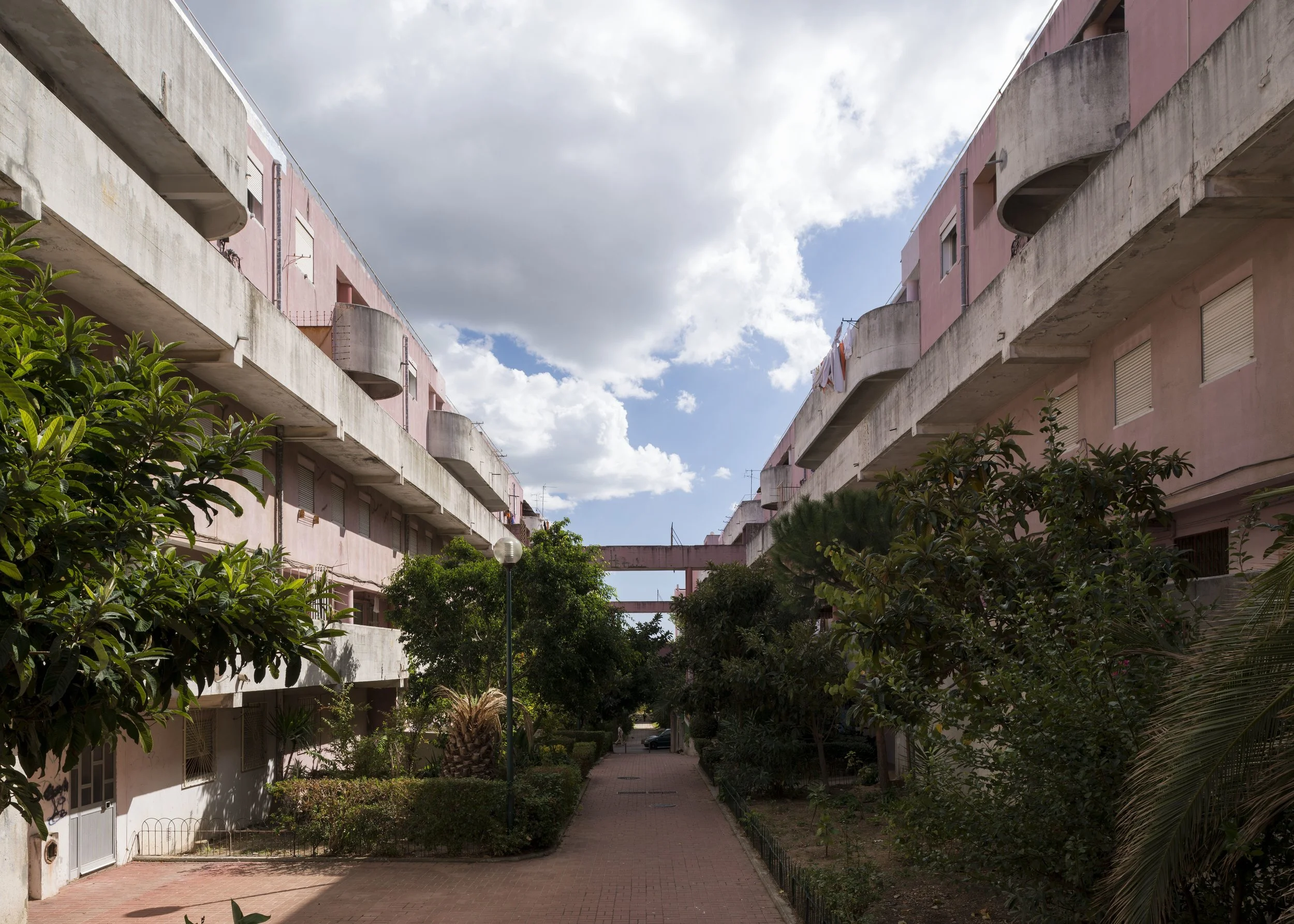 DMF-G. Byrne Pantera Cor de Rosa SET 2015-3022.jpg
