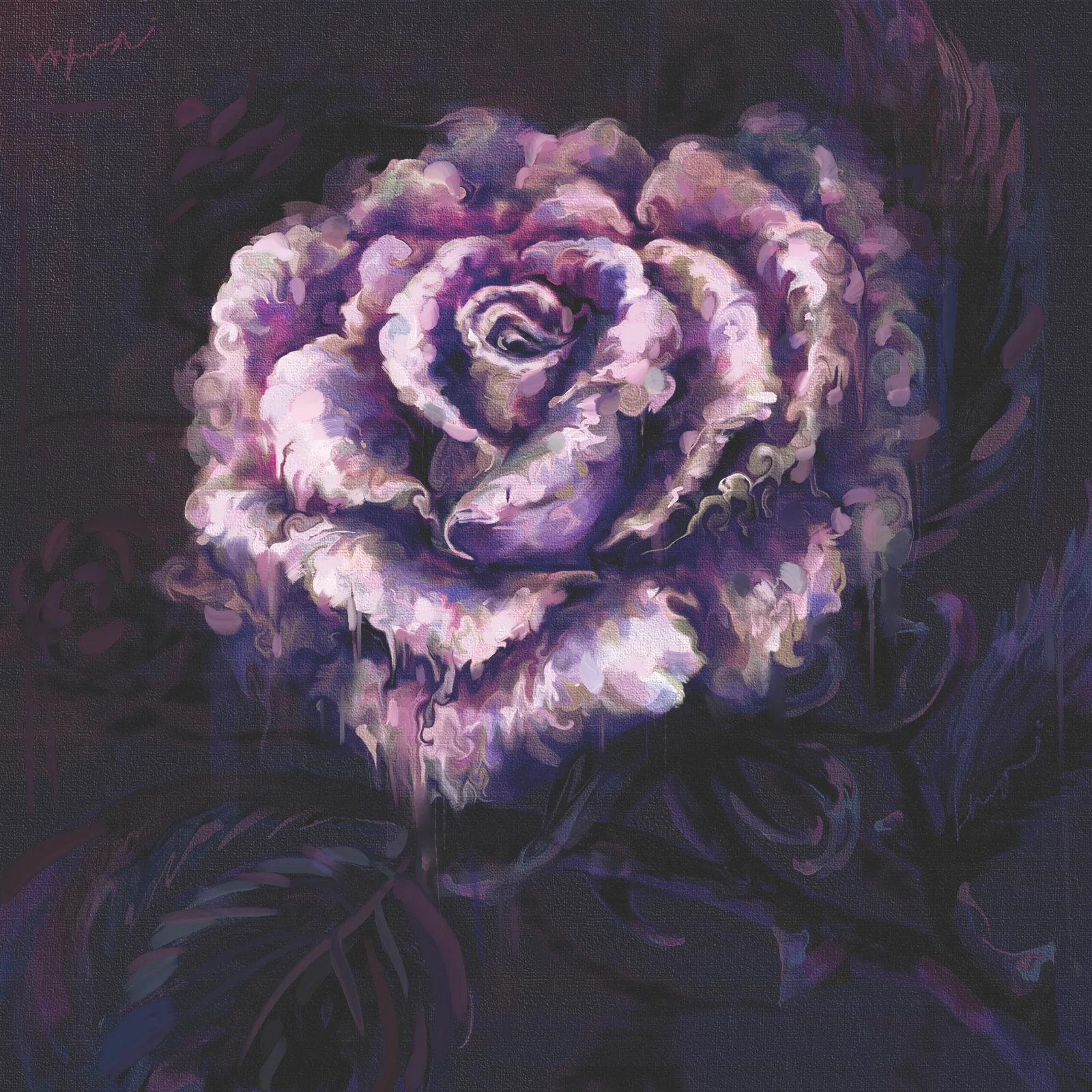 Midnight Rose