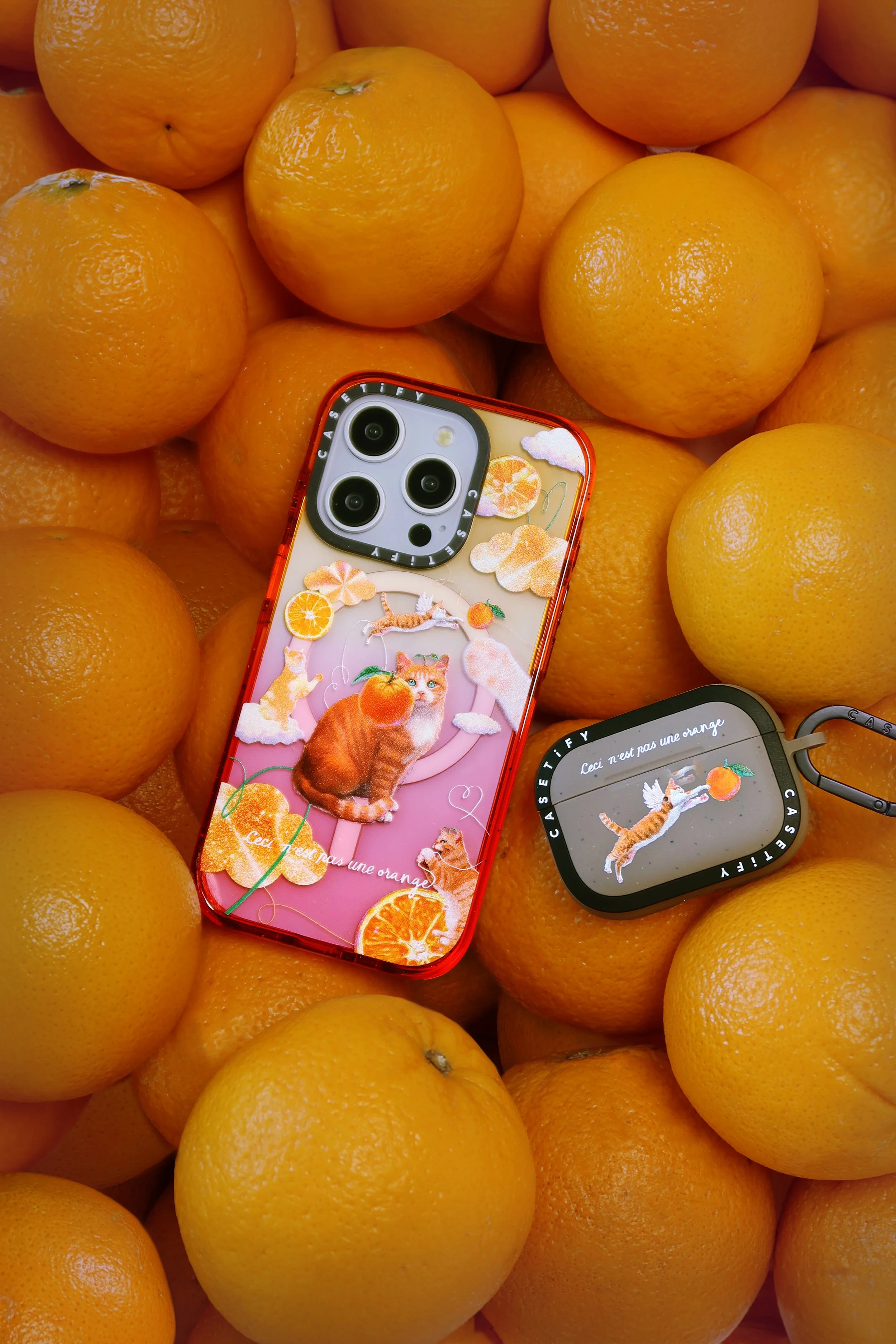 Mond Kim_Flying Orange Cat_photo1.jpg