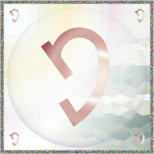 15 - Universal Law of Perception.jpg