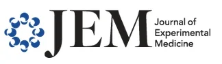 JEM.jpg