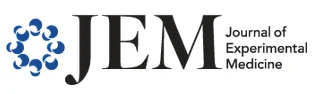 JEM.jpg
