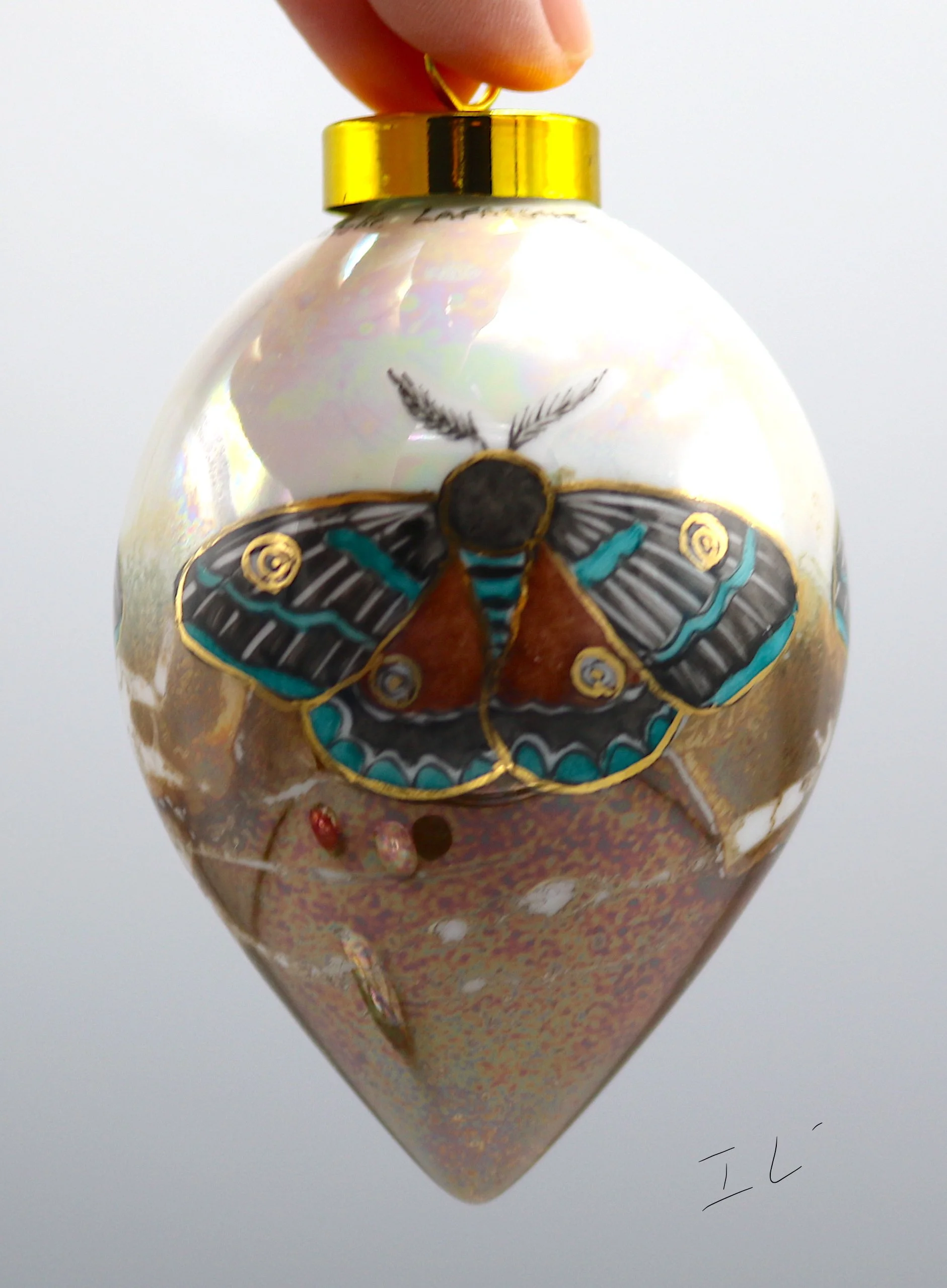 boule pap nuit moth 1 IL 2025.JPG