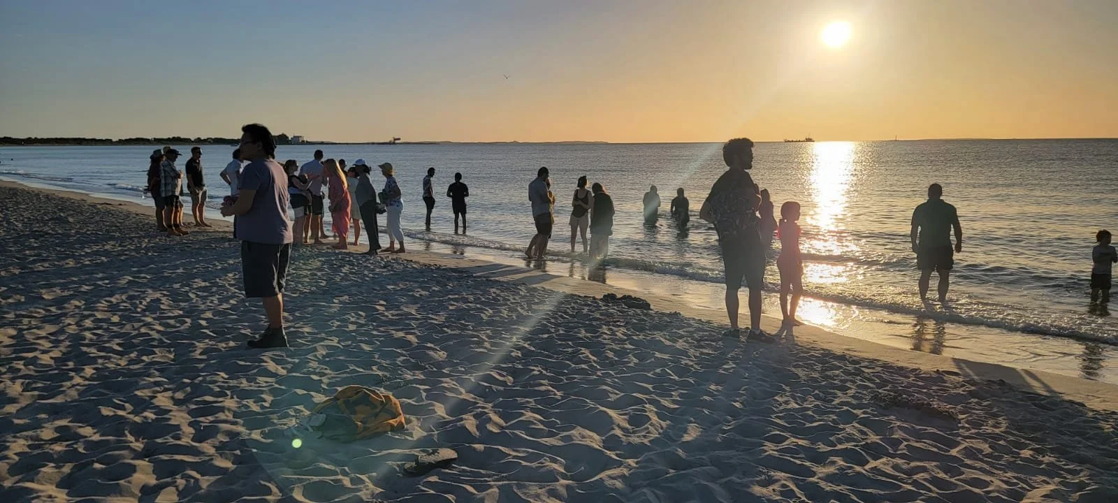 WhatsApp Image 2022-02-27 at 7.52.11 PM.jpeg