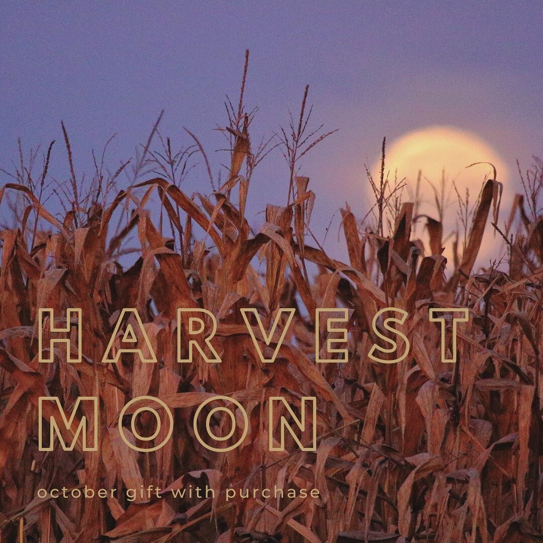 The Harvest Moon is the full moon closest to the Autumn Equinox. It represents basking in the bounty of all you have planned for over the last few months. Reflecting on your hard work and efforts. It also symbolizes letting go. Letting go of the comf