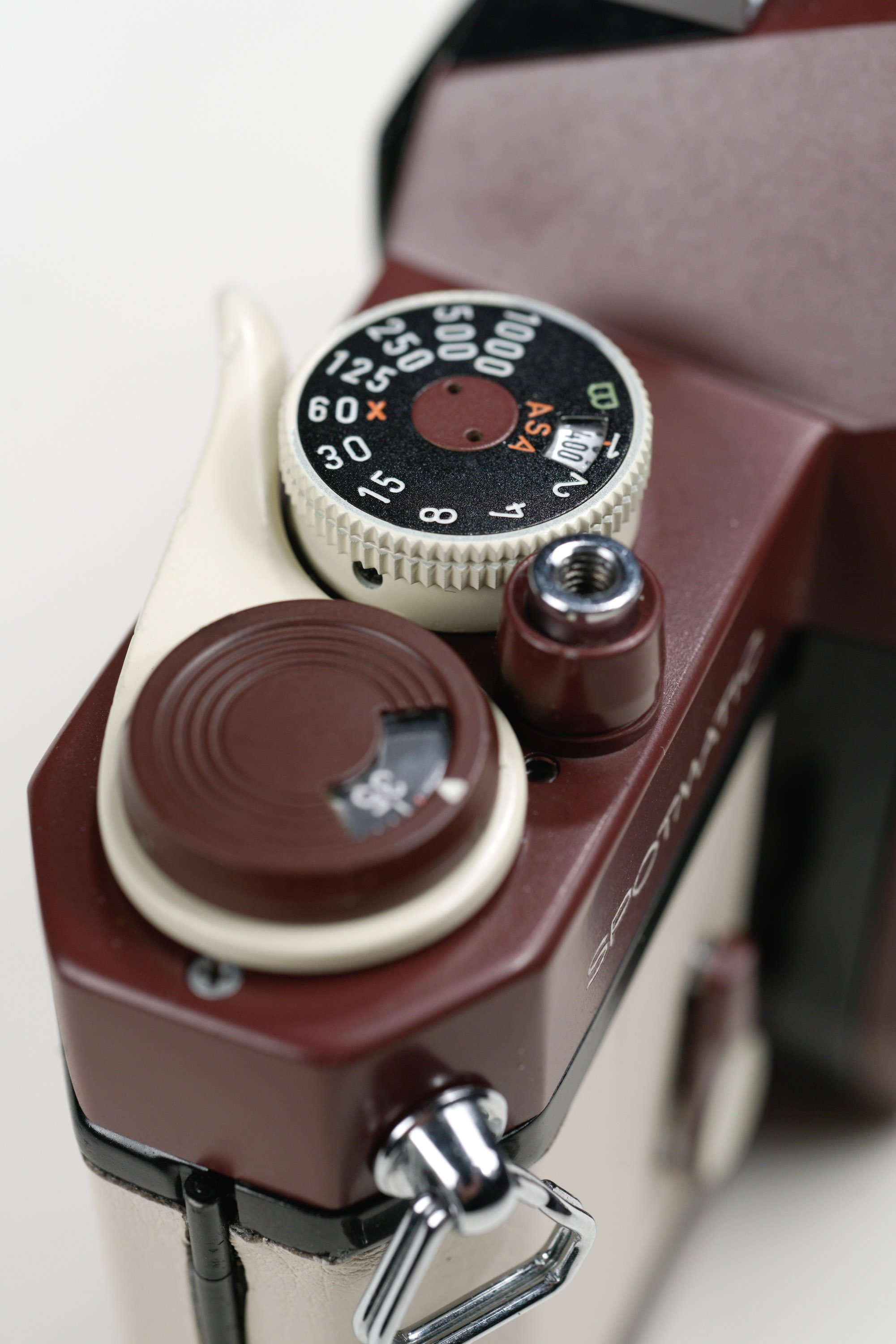 _DSC9999.jpg