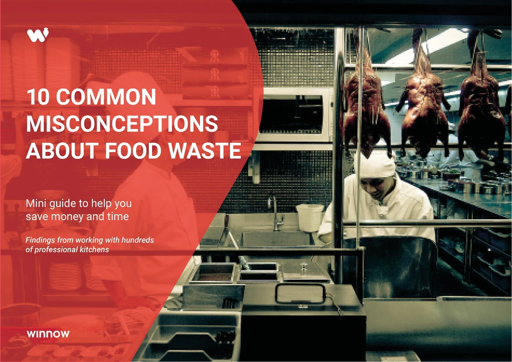 Food Waste Misconception Guide.jpg