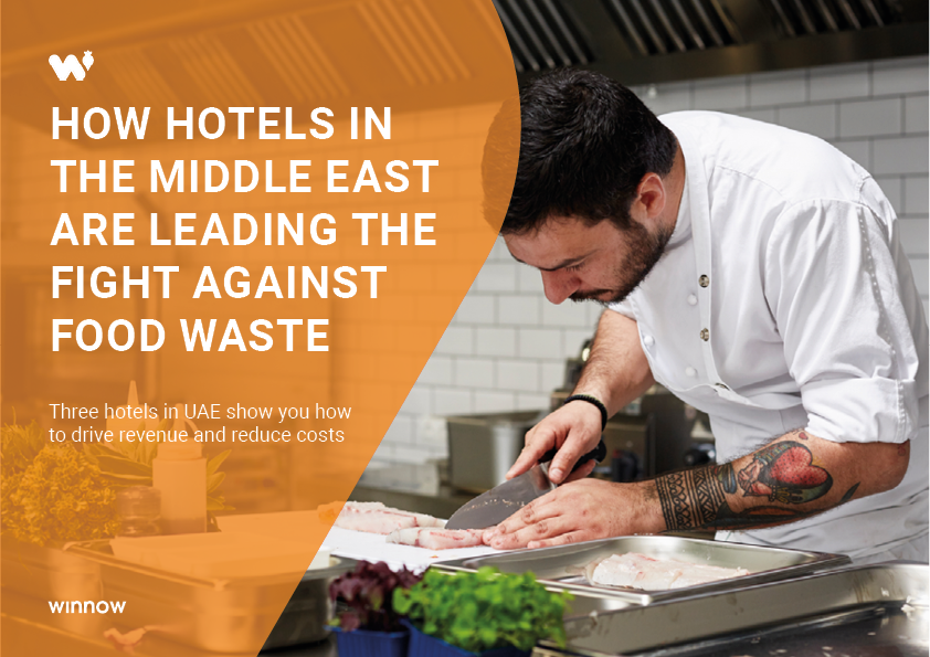 MENA Guide cover.png