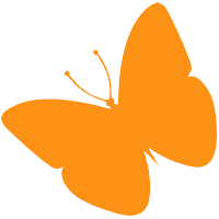 noun_Butterfly_657987_fb9216.png