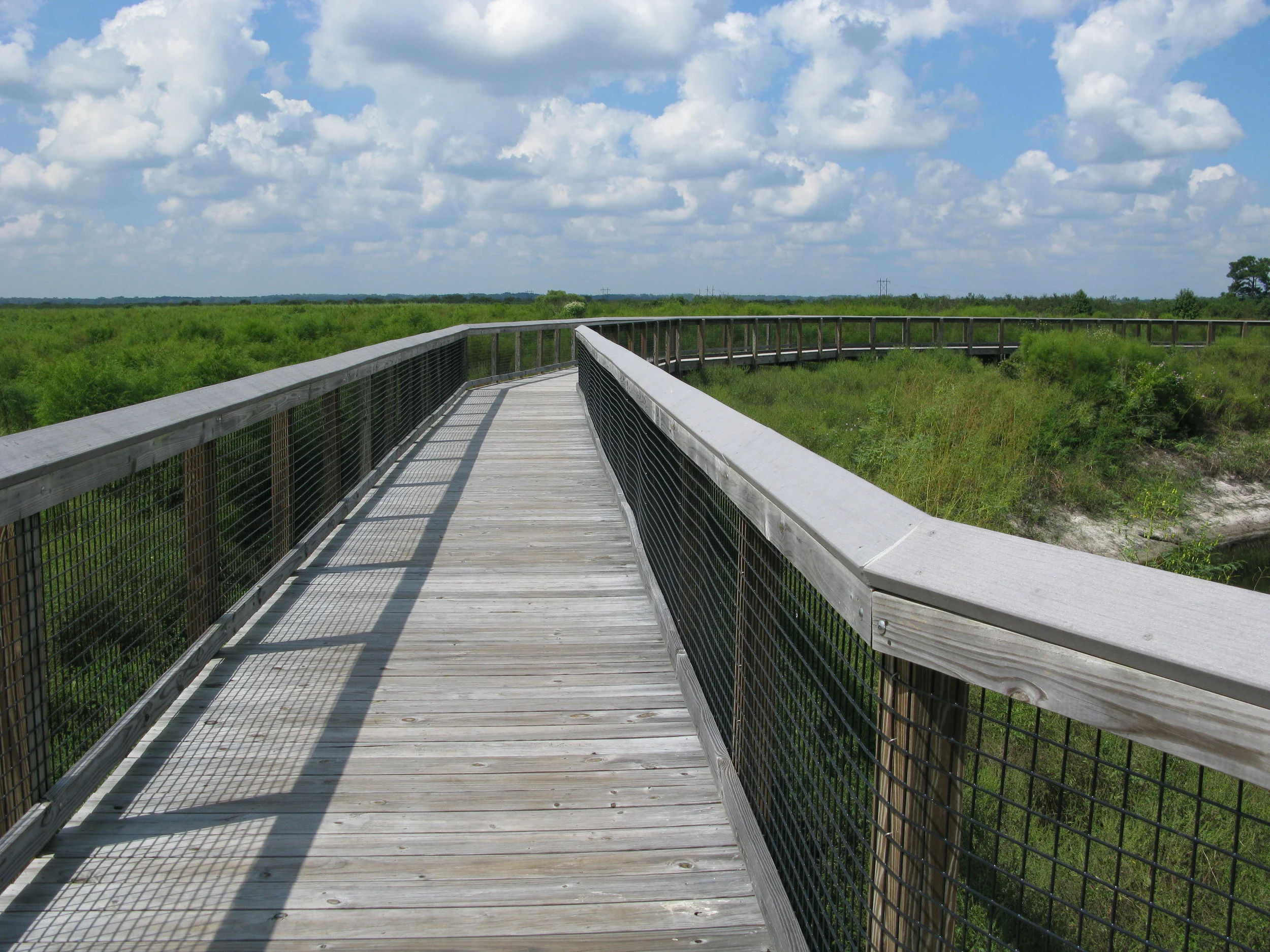 shutterstock_62403133.jpg