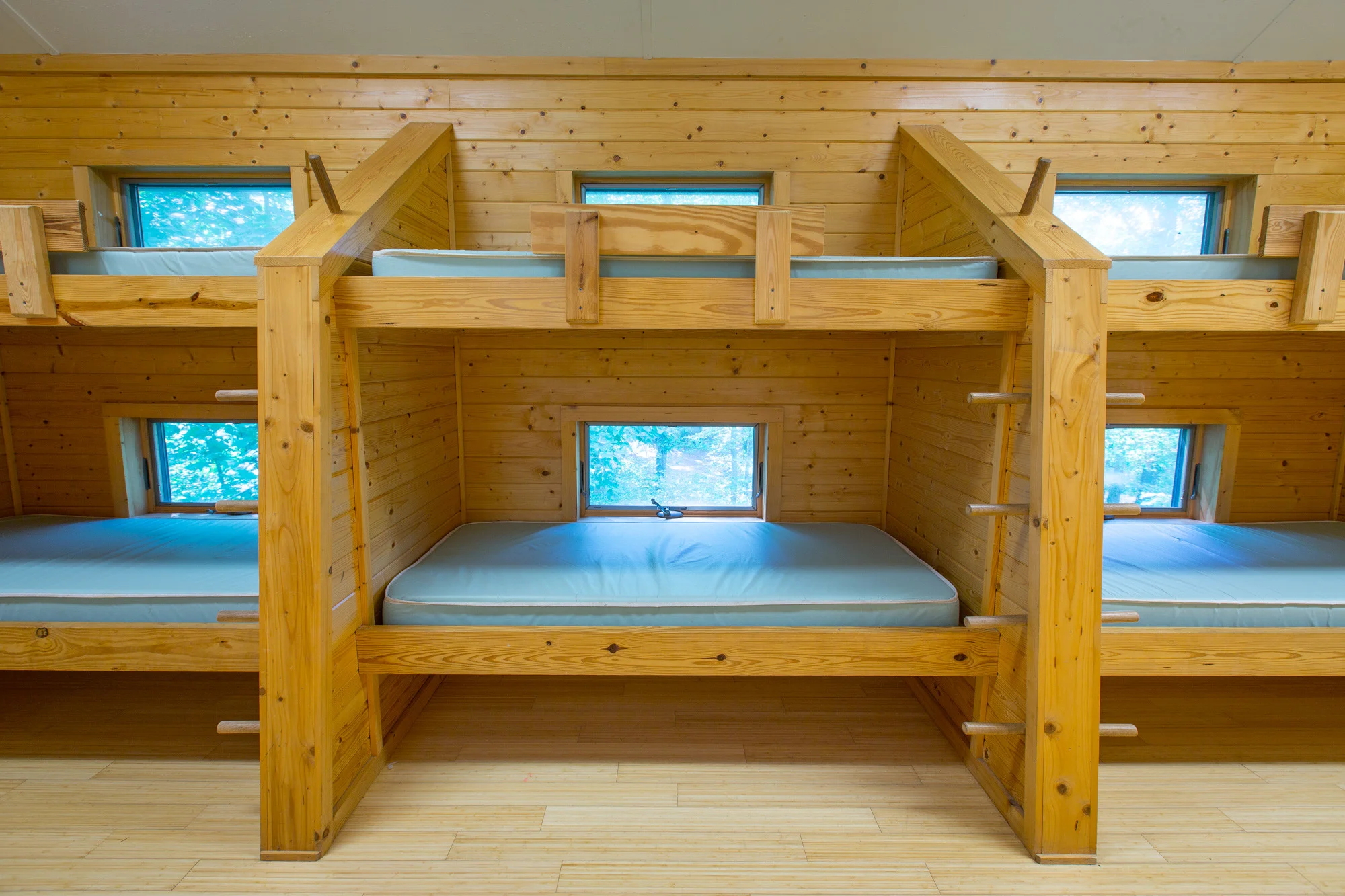 TREEHOUSES INTERIOR