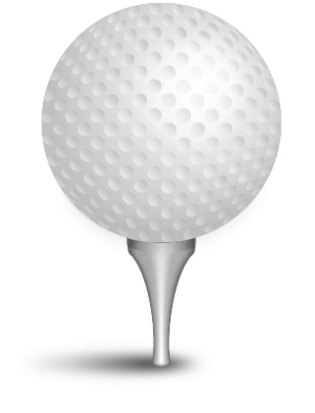 PLATINUM SPONSOR: $10,000