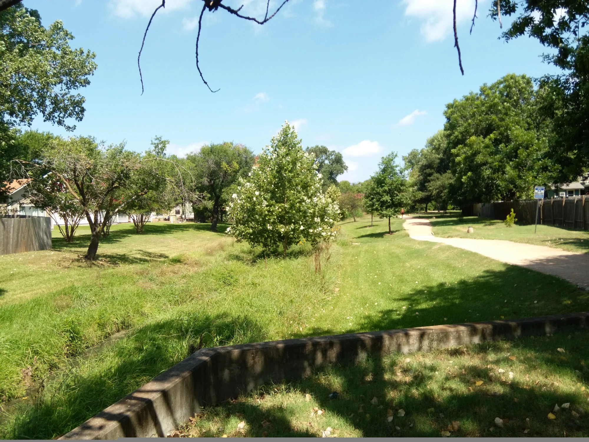 tree far away.jpg