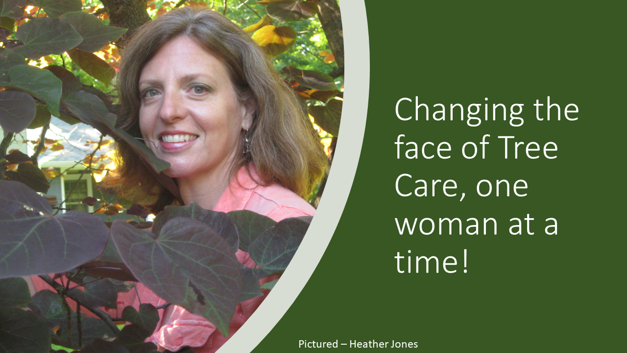 Recap of February 2024 Discussion