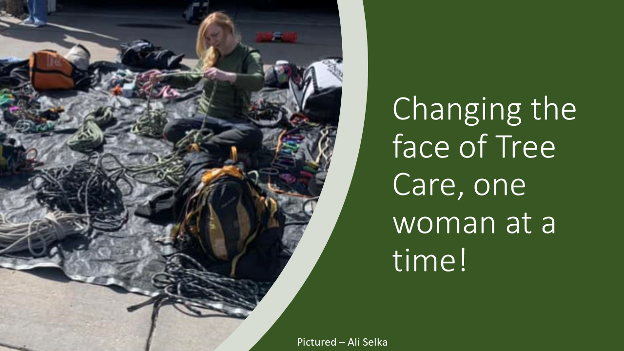 Recap of June 2024 Discussion