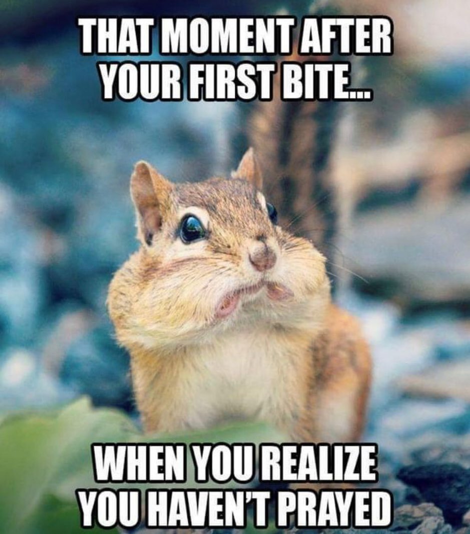 That moment after your first bite &hellip;😂#bitesize#prayedforyourfood#anxietyawareness#bethankfuleveryday#funnyfacts#feedbyexample