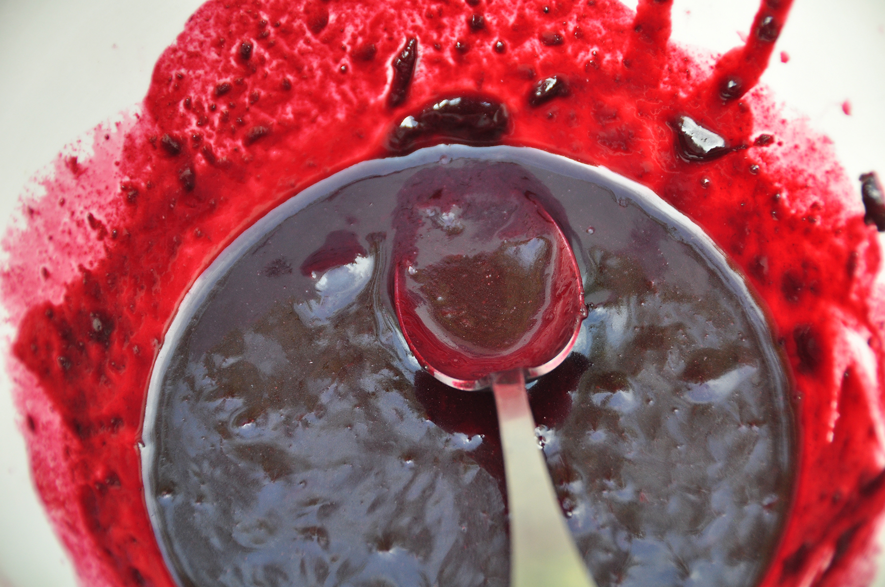  Elderberry preparation.Photo ©Johanna Gibbons FLI 