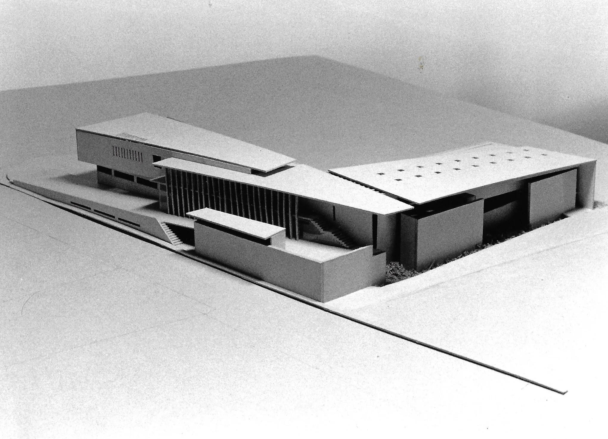 model (1).jpg