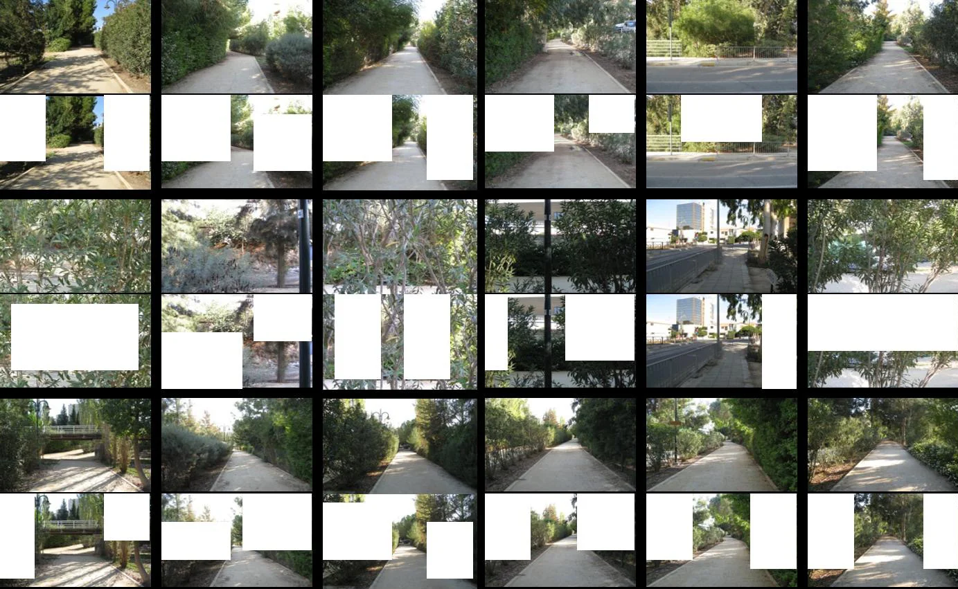 fig.05_sequential photos.jpg
