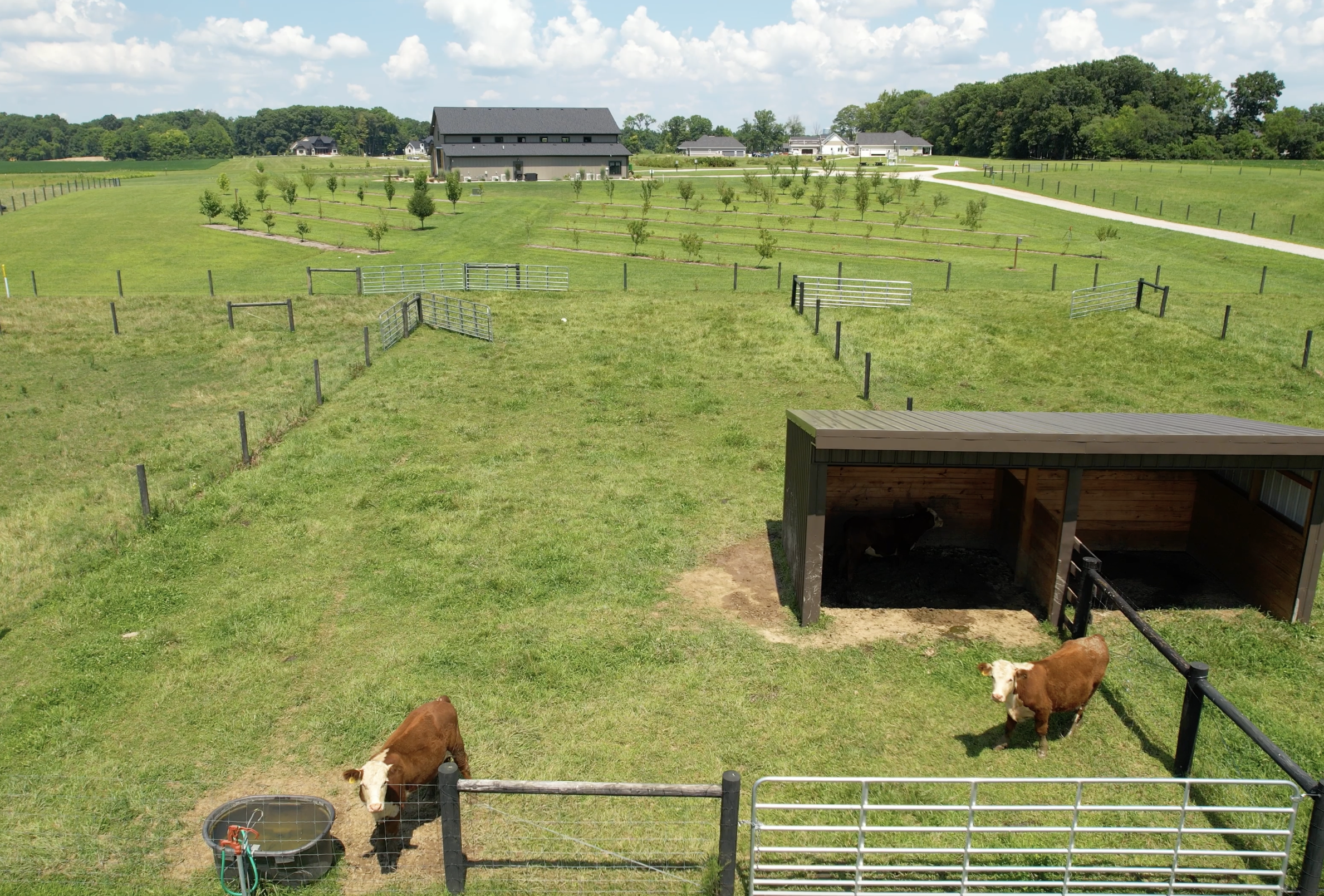 Screenshot 2025-12-02 at 8.45.39 AM.png