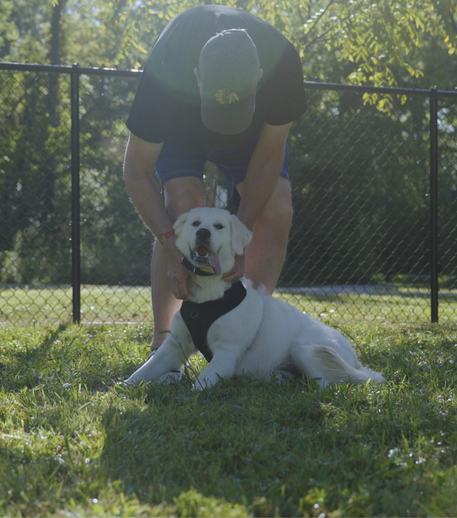 Screenshot 2025-10-08 at 4.02.06 PM.png