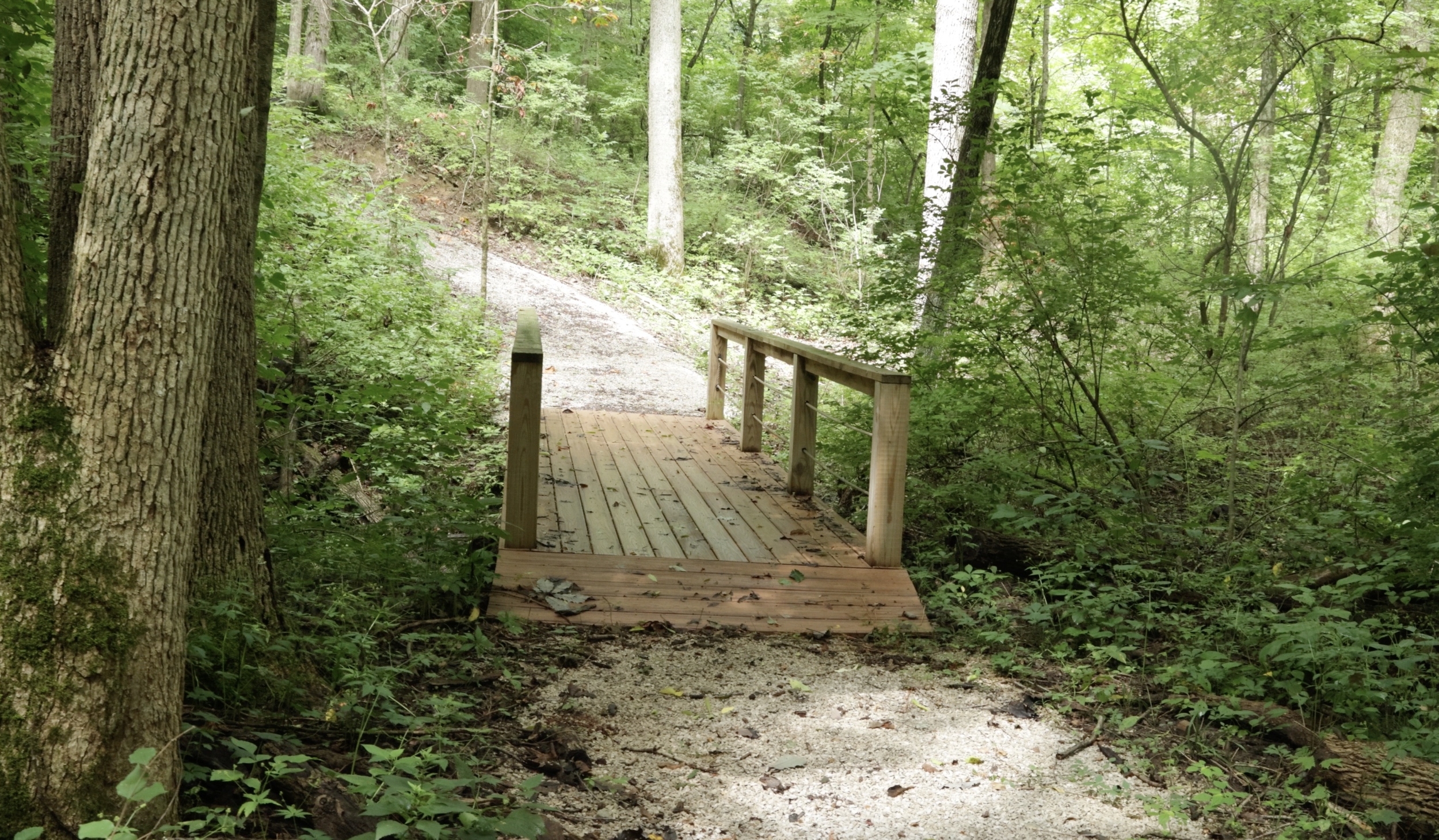 Screenshot 2026-04-09 at 2.25.49 PM.png