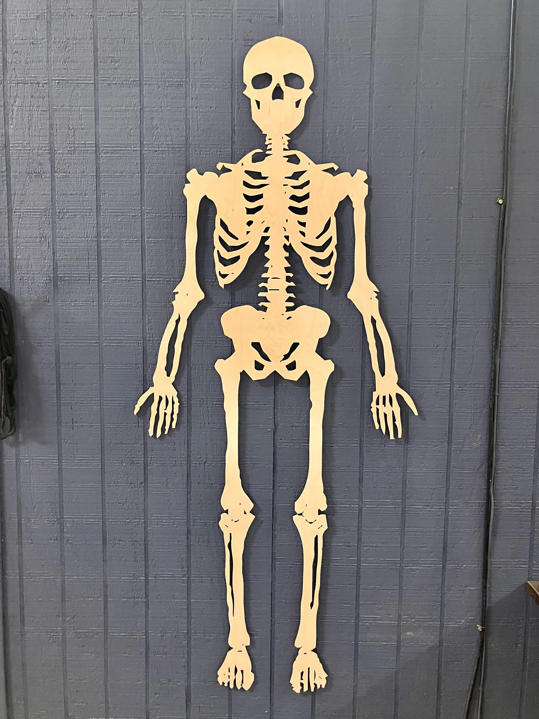 38604461-BBC5-4442-8003-936D5EE0BD14