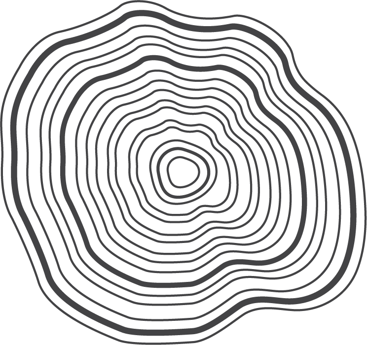 Tree ring p.3.2.png