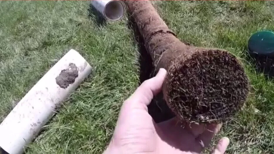 Residential Root Cutting Services in Raleigh, NC area