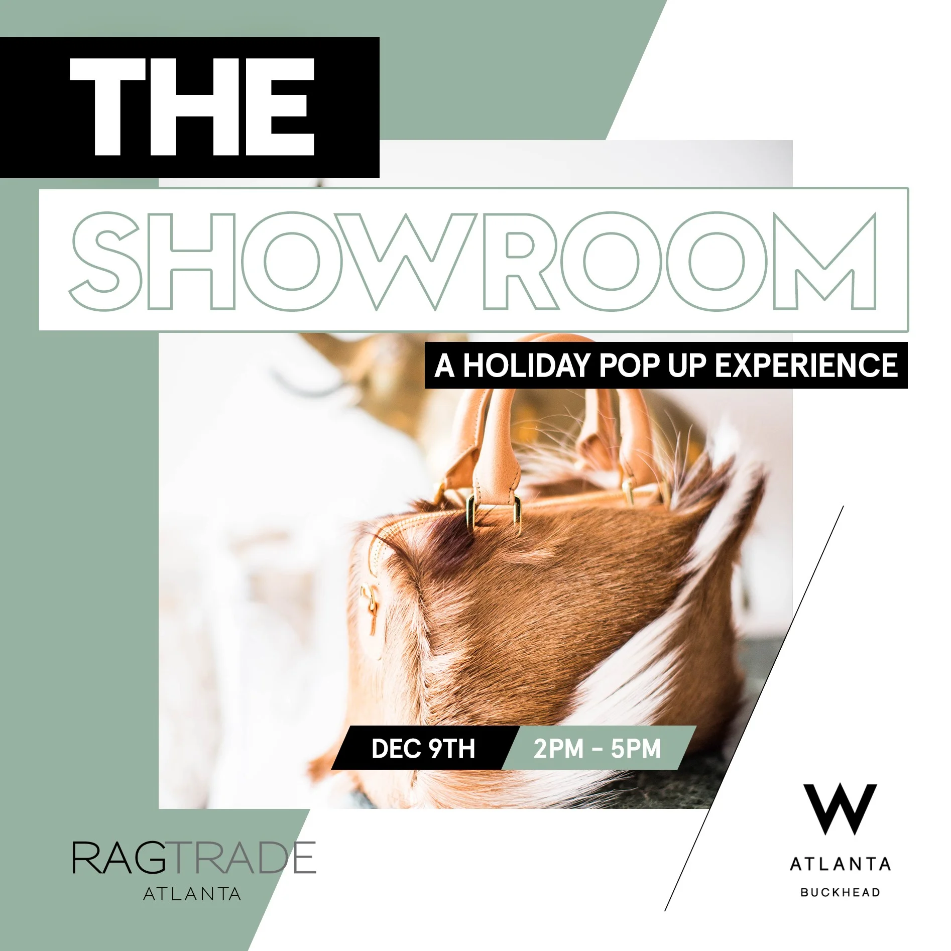 Showroom Option C.jpg