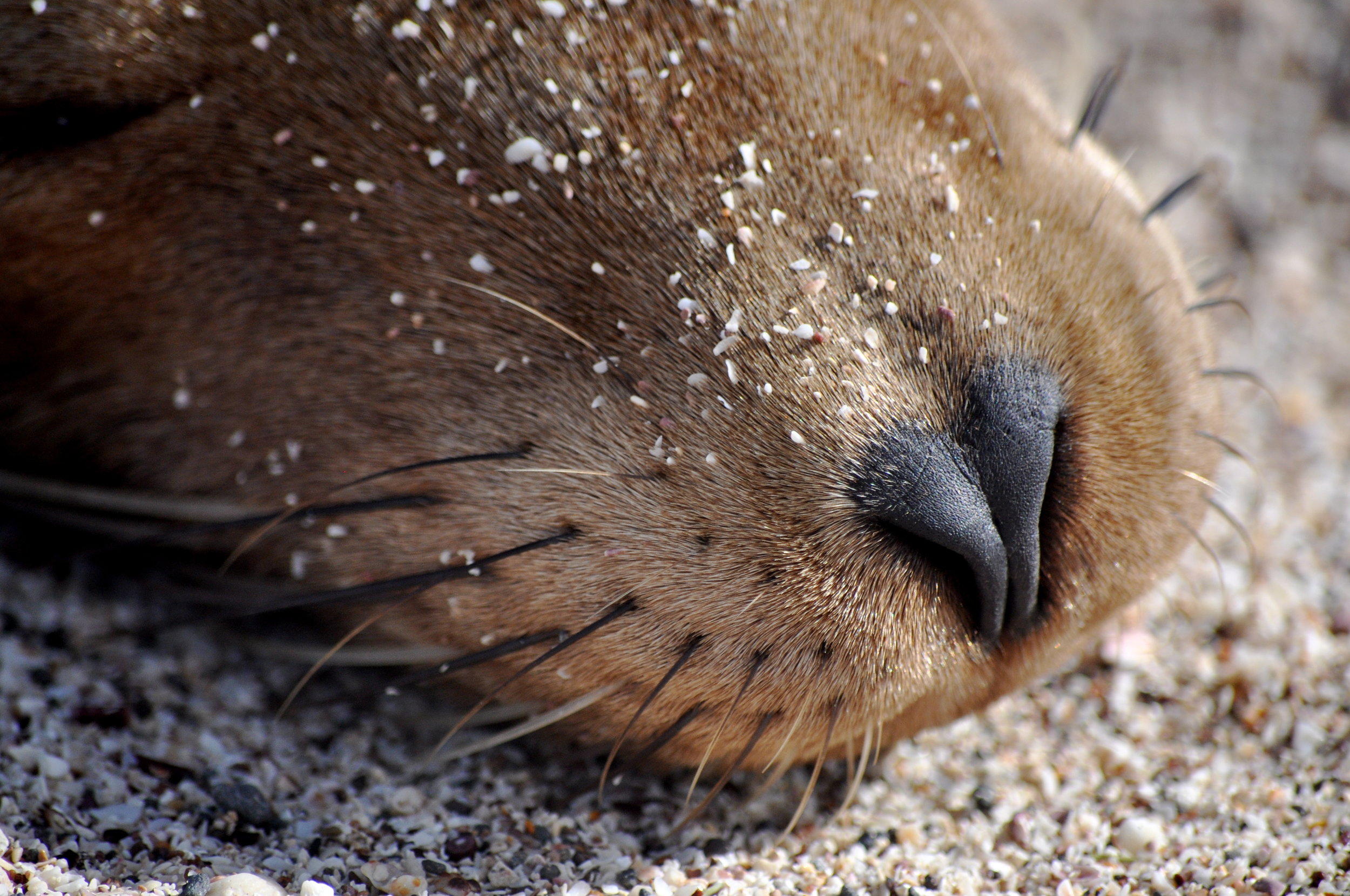 DSC_0868_2.JPG