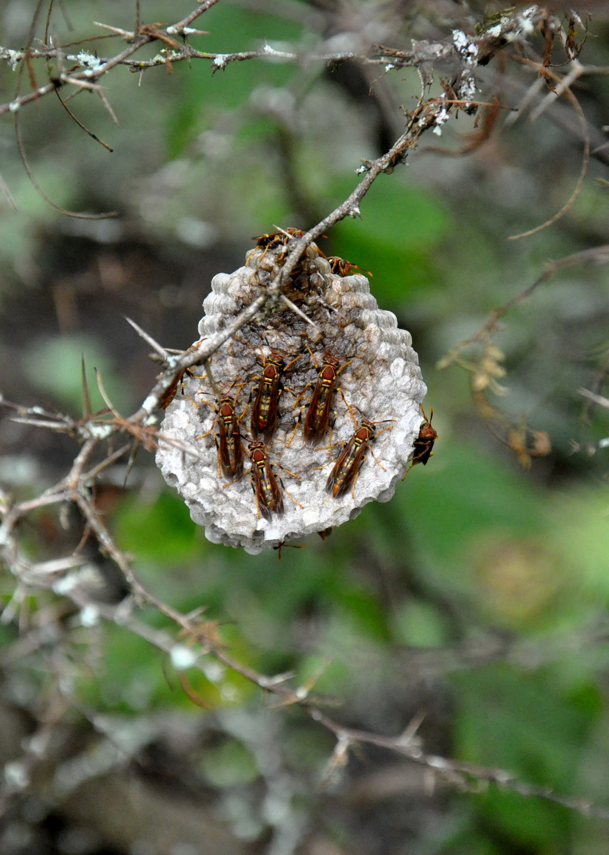 DSC_0058_2.JPG