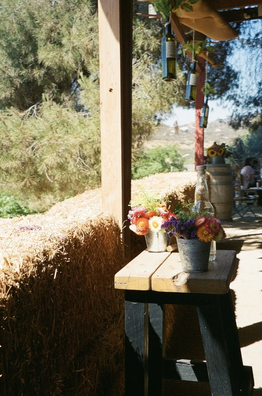 FFD3F57D-CA84-4A34-855A-5CF5B22D5F15_1_201_a.jpeg